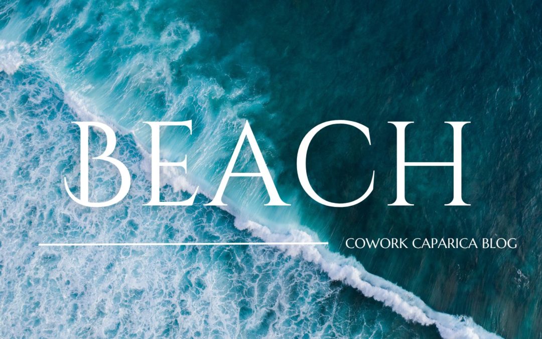 The Secret Beaches of Costa da Caparica: An Enchanting Journey into a Coastal Paradise